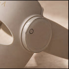 NORENA 5D. Keine LED. Laser. Premium