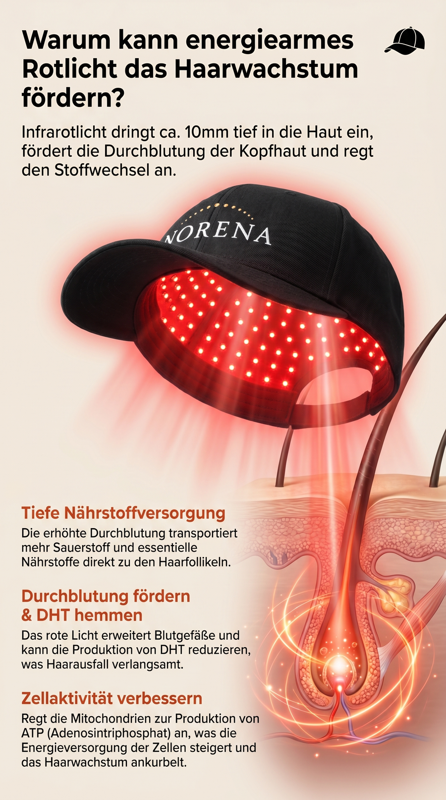 NORENA Cap Wissenschaft